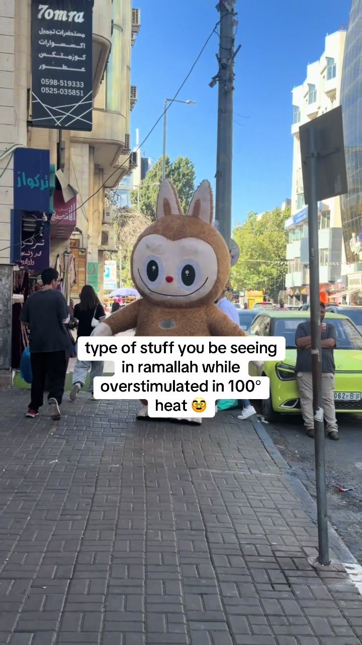 @Mohammad Saleh 🇵🇸