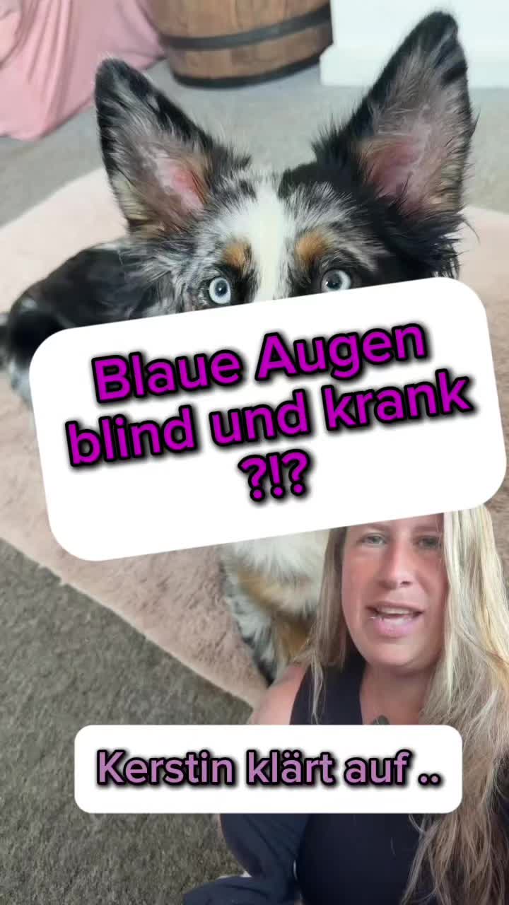 @PinkParadise Zucht