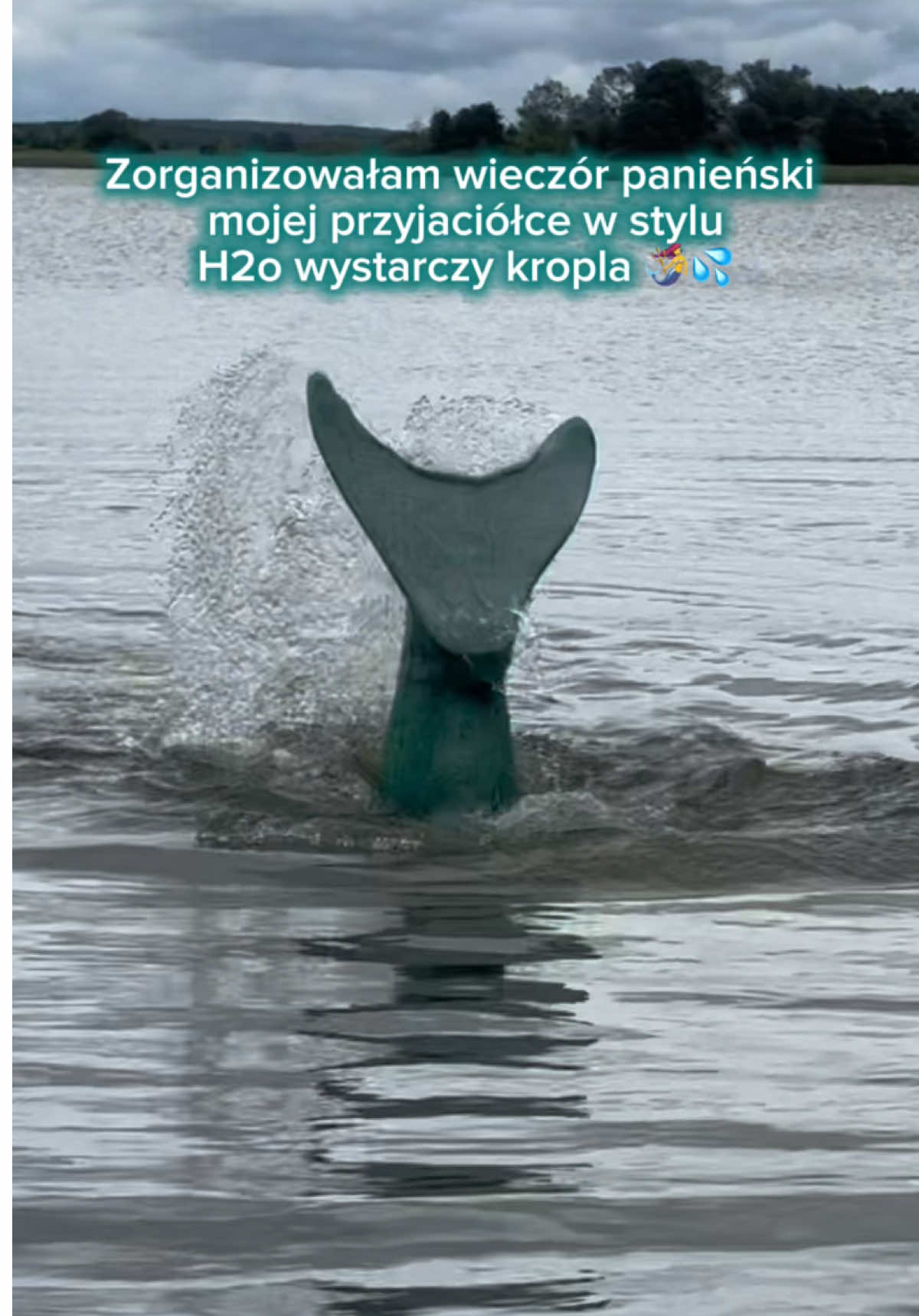 @Kamila Sasin