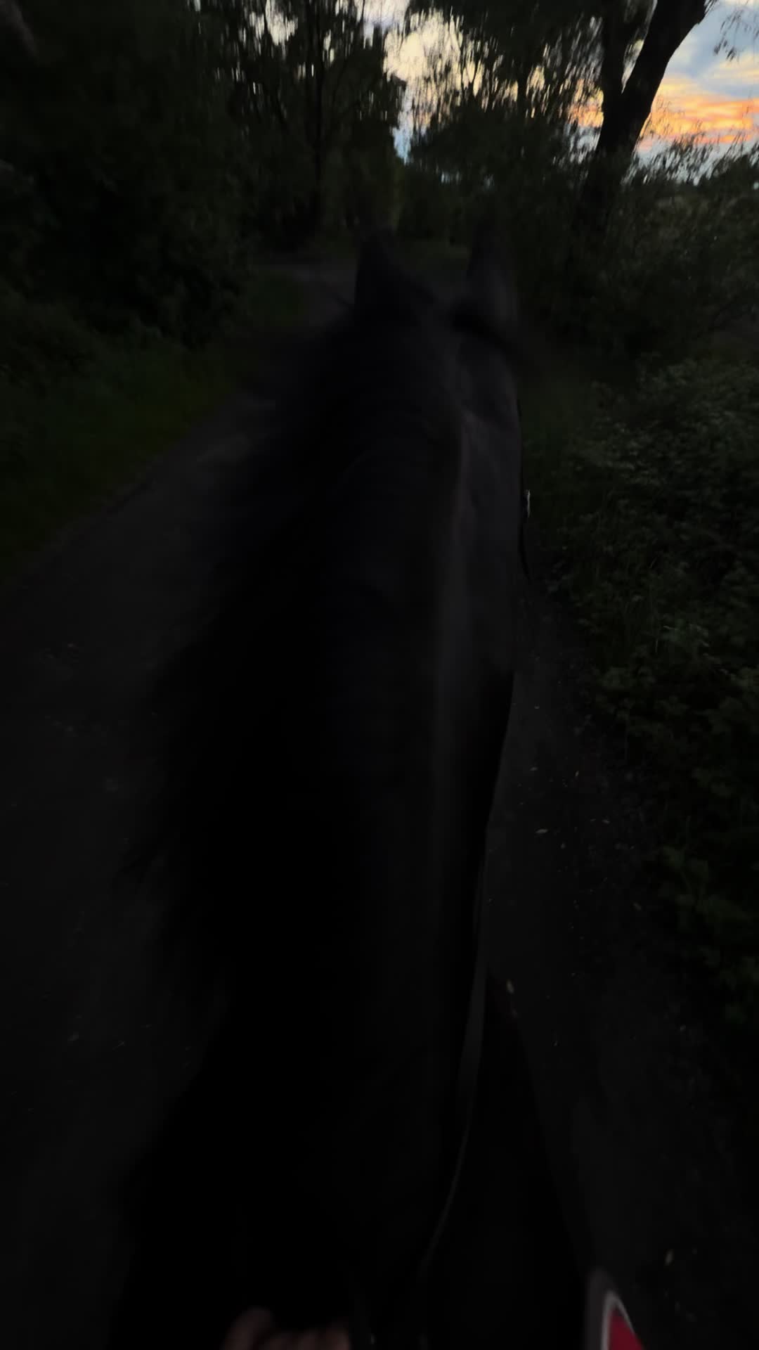 @Horses