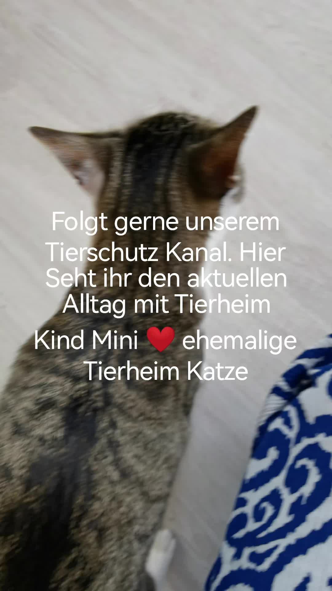 @juli🇩🇪🇺🇸🇷🇺