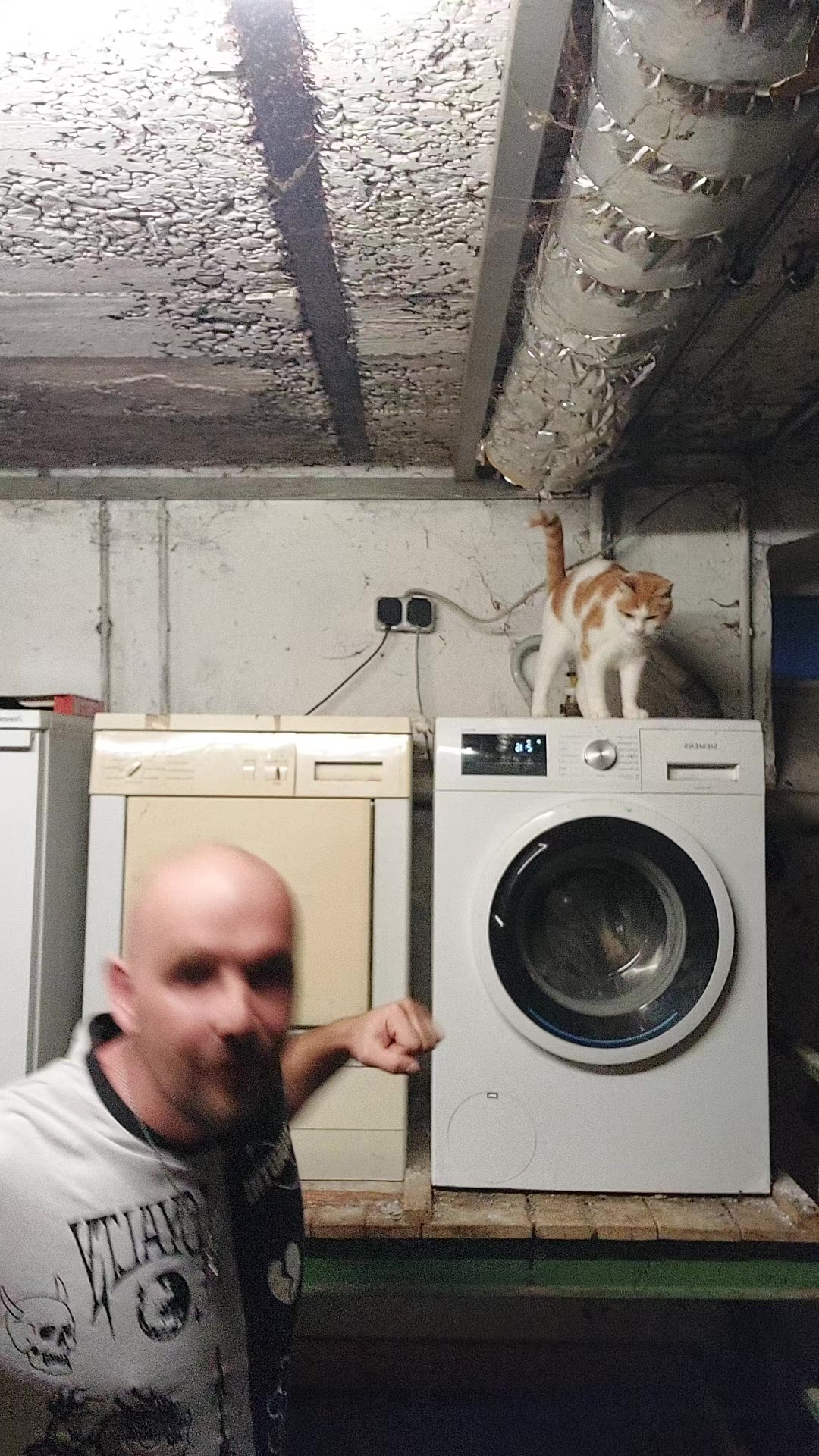 @DANI🚪🐈🍻