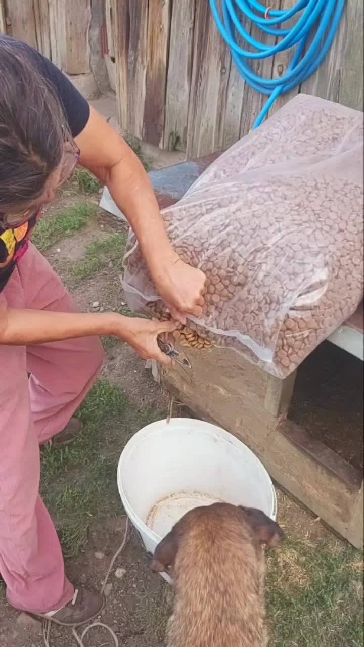 @Ruke_Spasa_Serbia