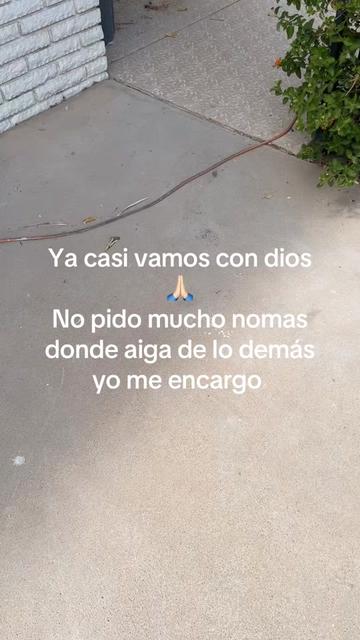 @🍅 dj Tavo Silva 🎧🎼