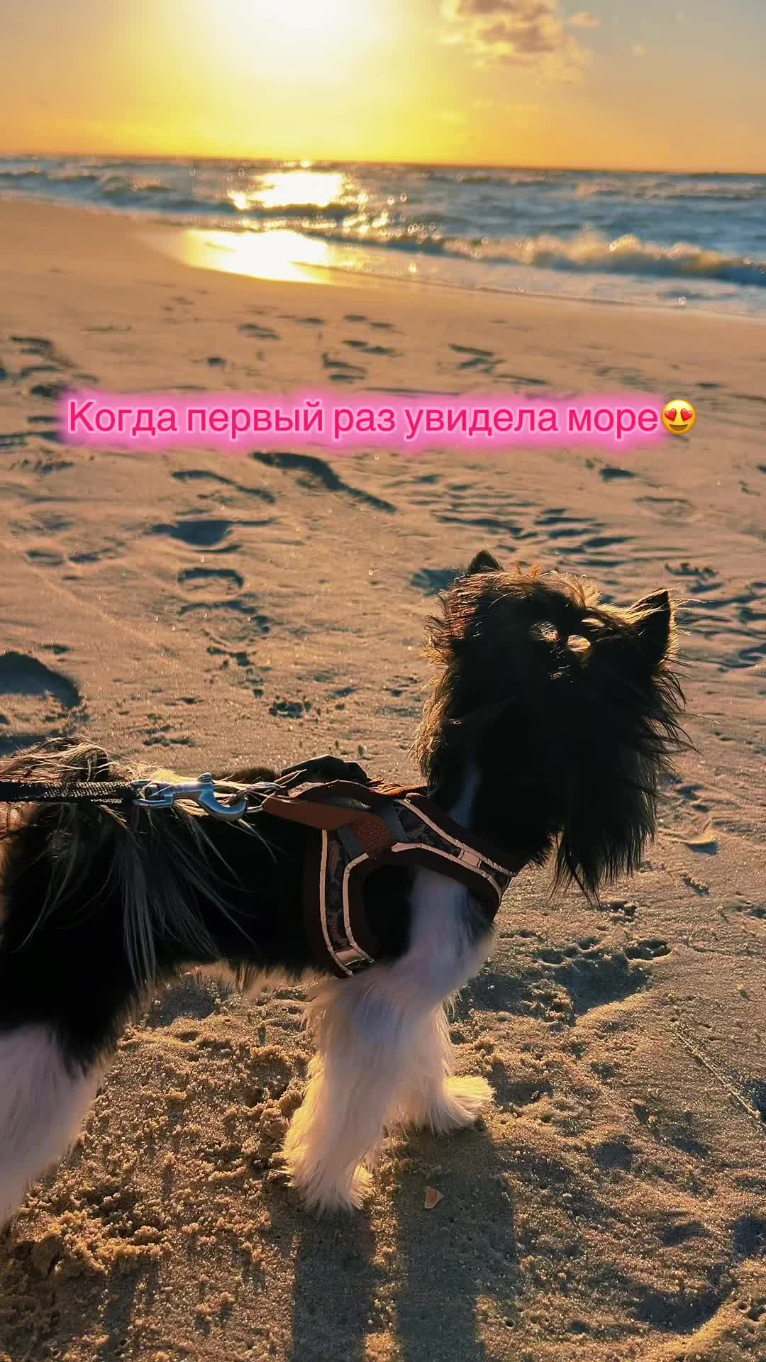 @bieweryork25pl