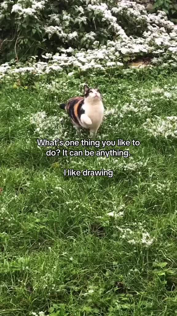 @MD/catboytonex