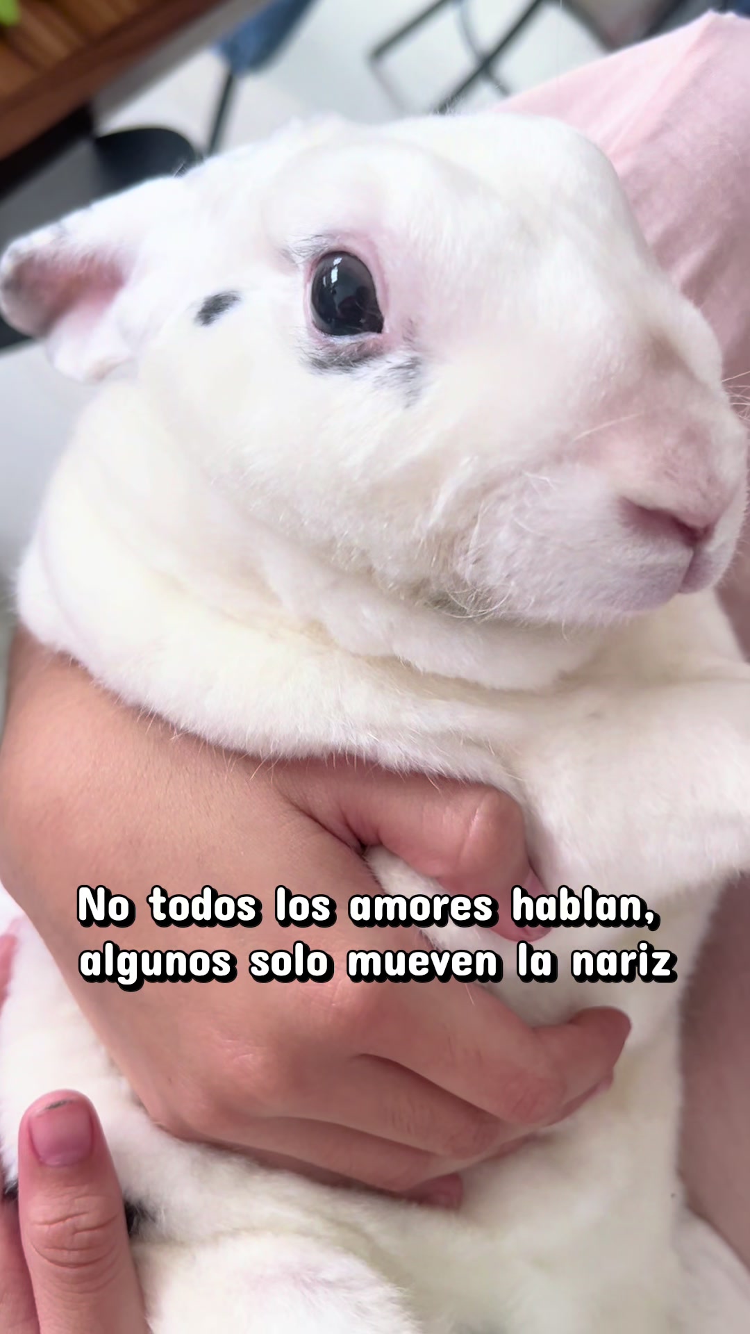 @Soy Luna