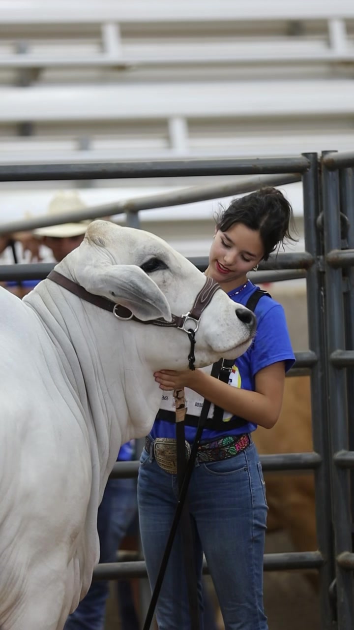 @England Cattle Co.