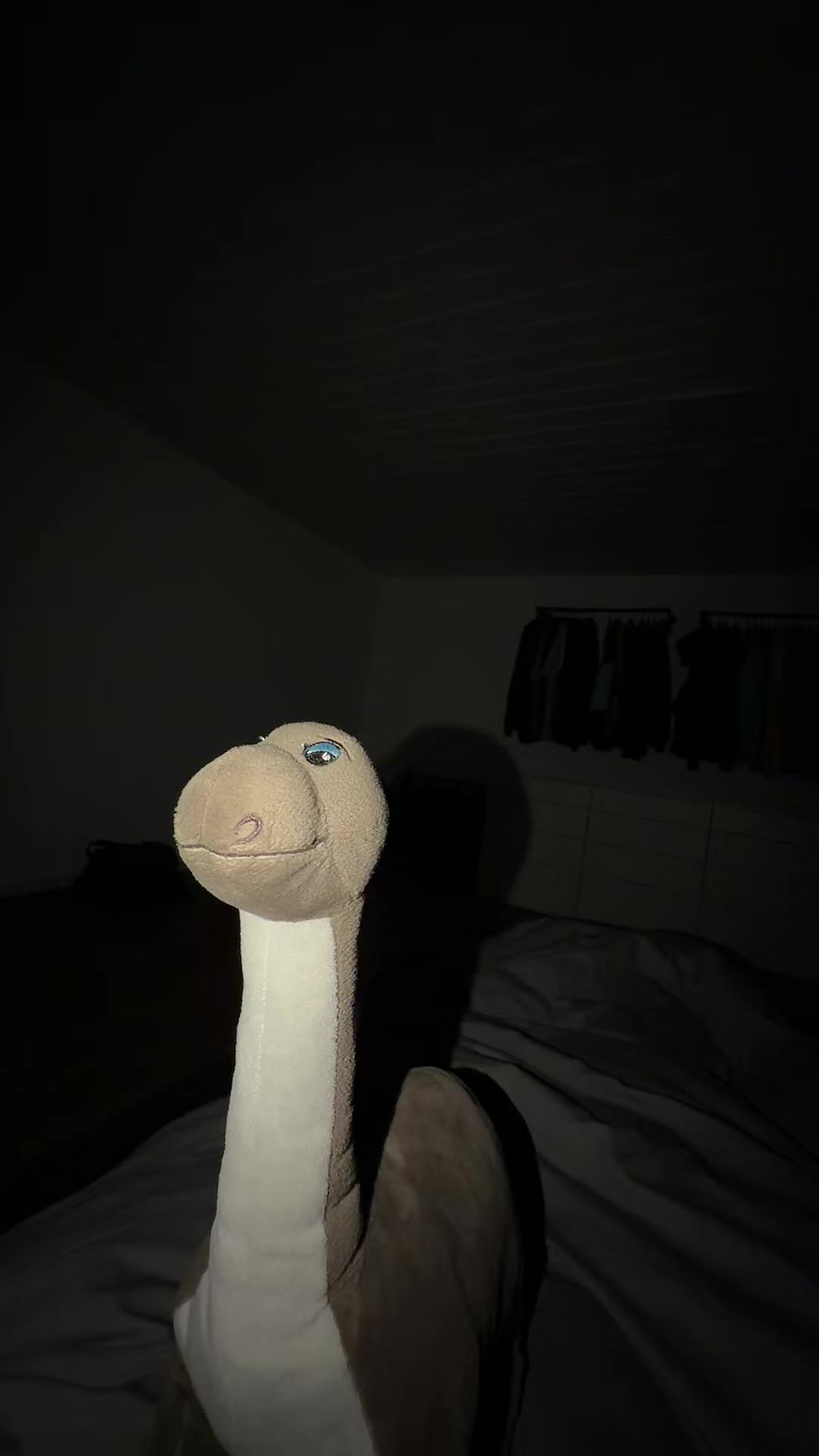@Dinolino🦕