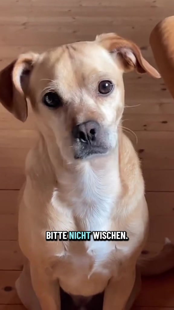 @Mäx