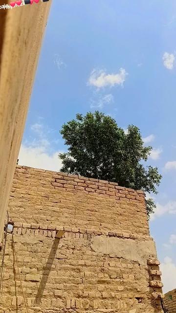 @khanjamali