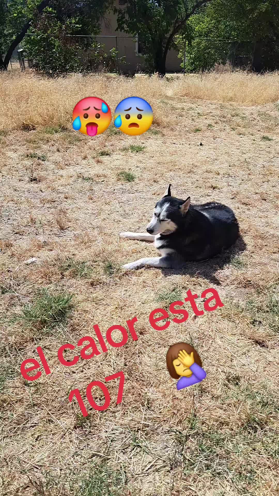 @Elizabeth Nava