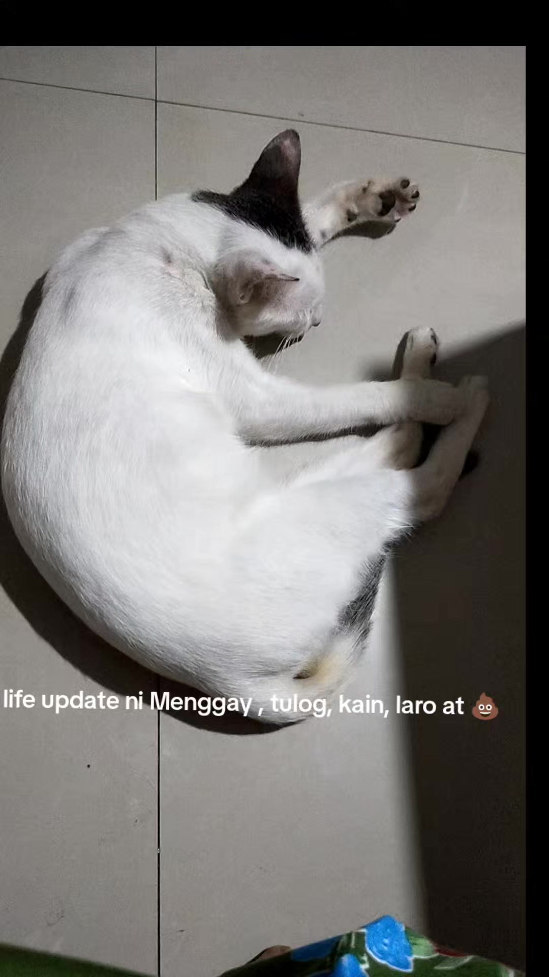 @marichubulayo