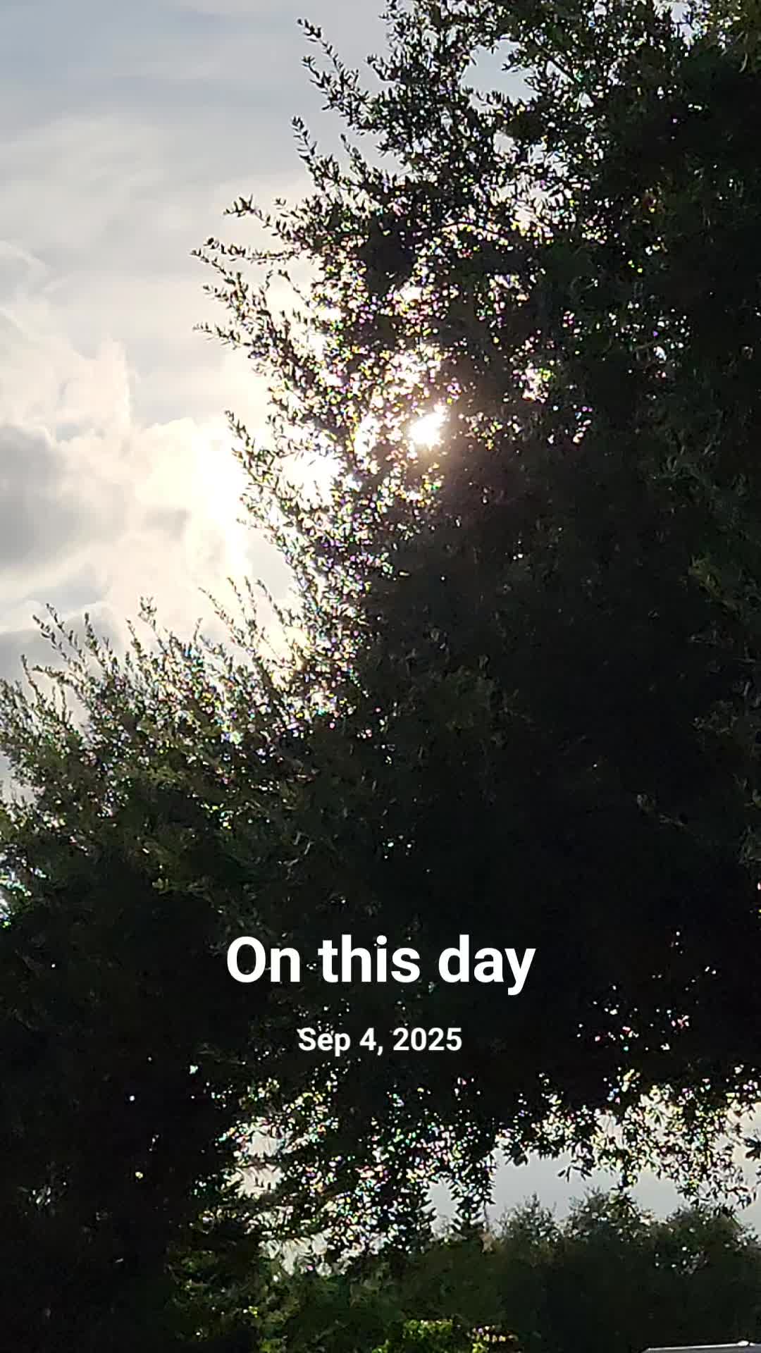 @𝘊𝘩𝘢𝘯𝘥𝘭𝘦𝘳𝘉𝘪𝘯𝘨_𝘈𝘍