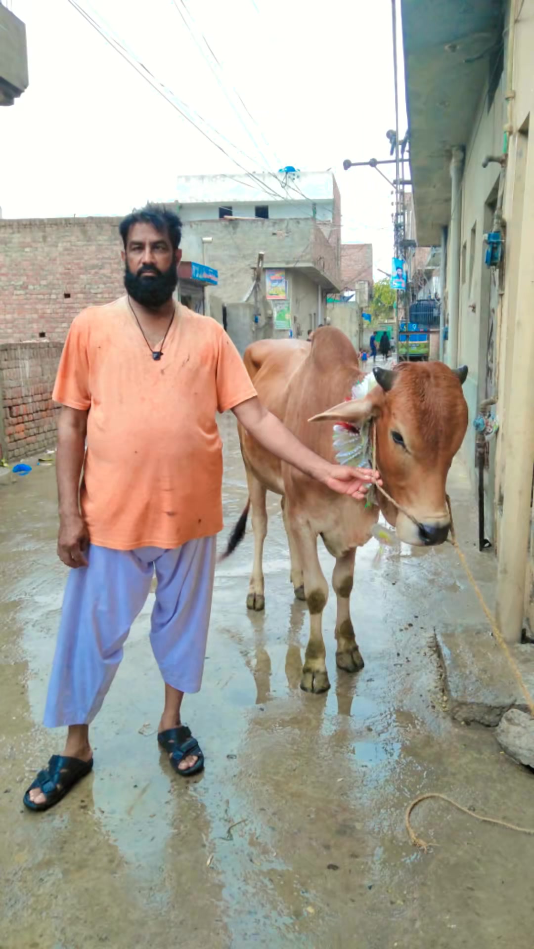 @M.Ramzan Akram