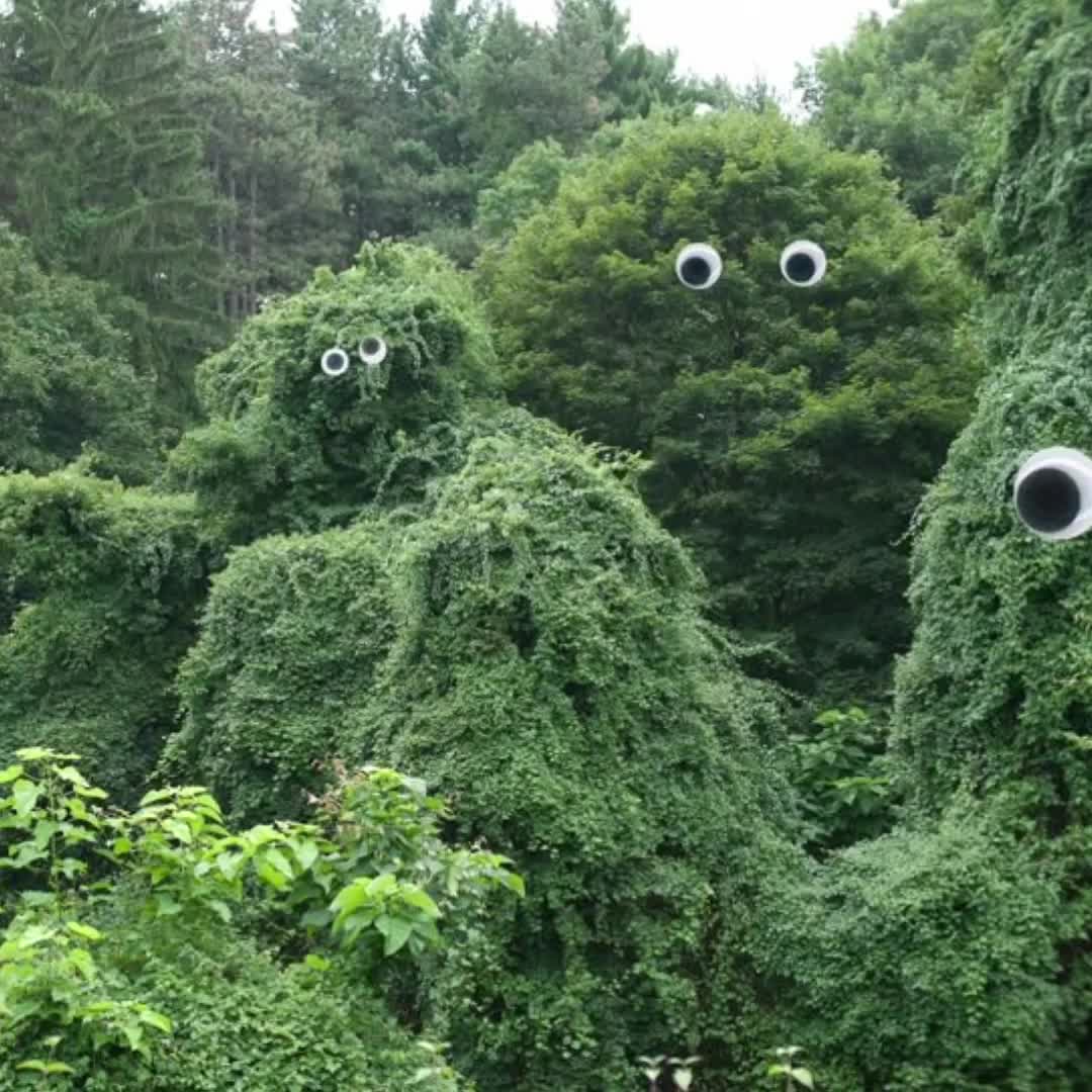 @weird side of internet