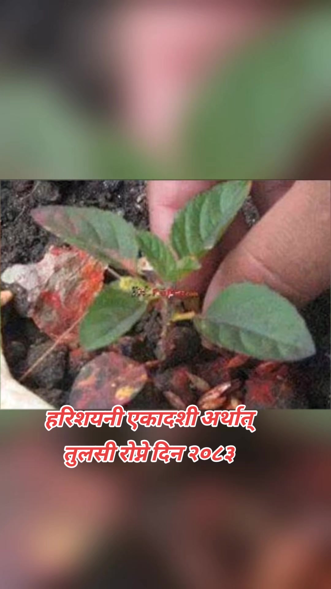 @Ram babu shahi0