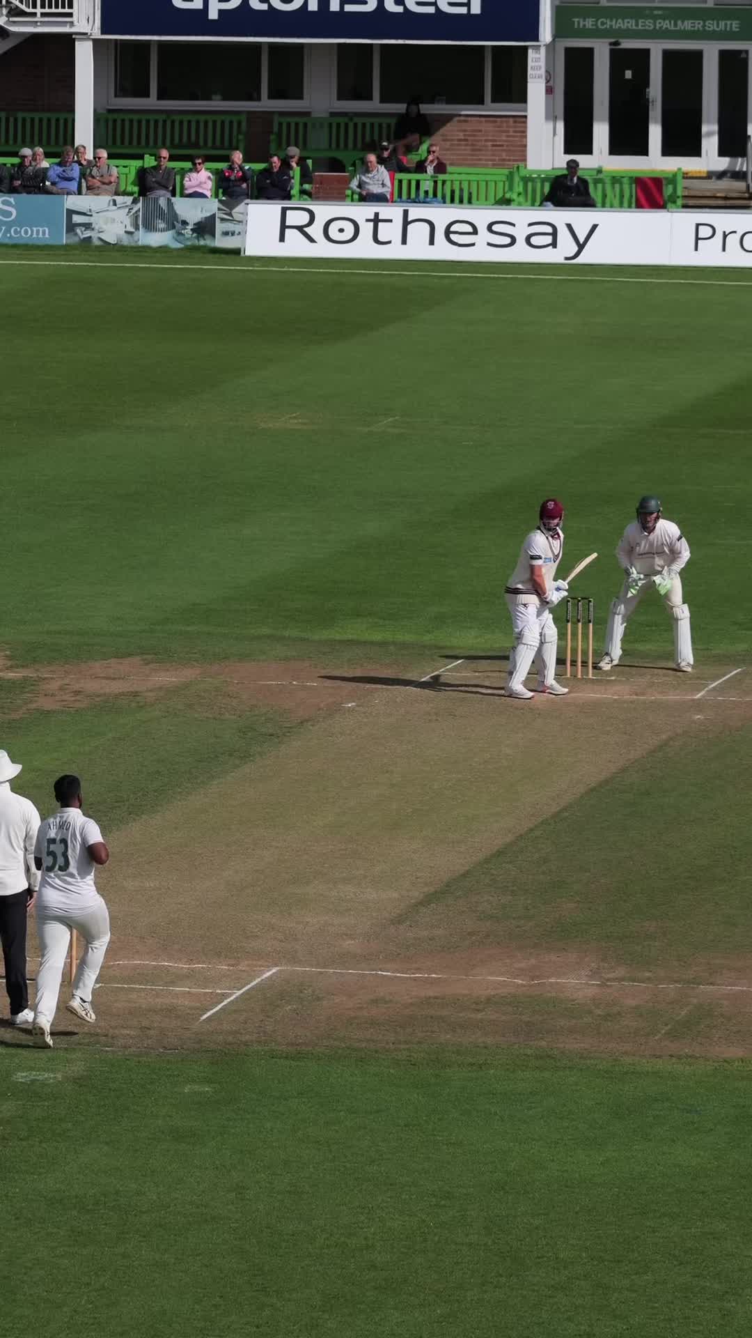 @Somerset Cricket