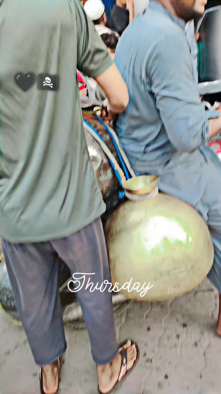 @๐๐จุญ๐๐ข๐ ๐๐๐ง๐ข๐๐๐๐ซ