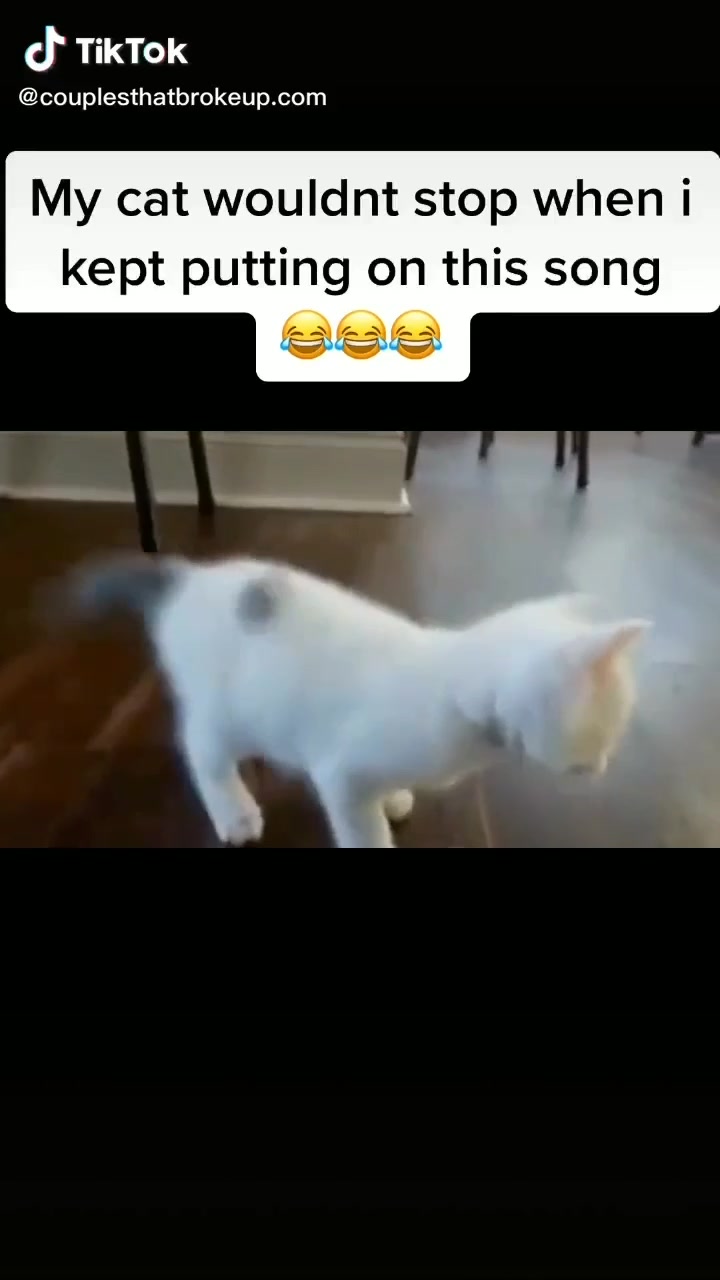 @makethatmoney1985