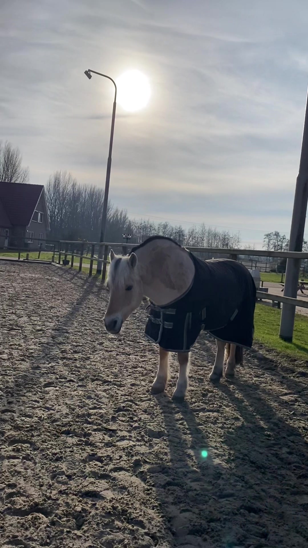 @Hippisch Centrum Dordrecht