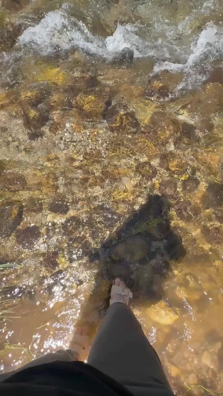 @Melek Tanrıkullu