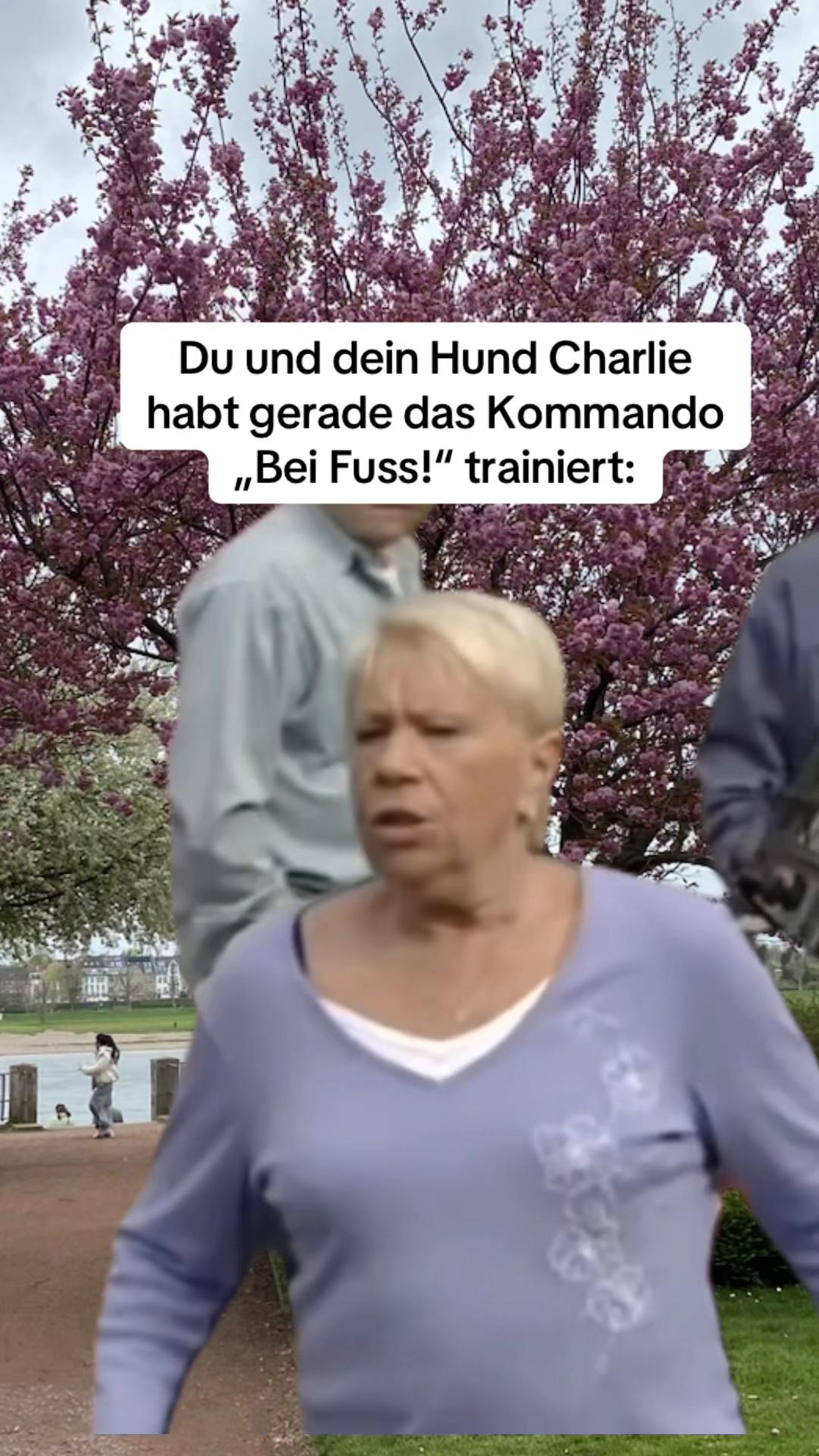 @🤪Susi.Sorglos.Memes🤪