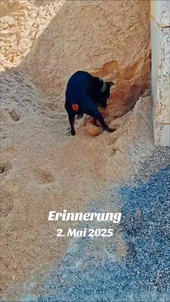 @🦊Rotfüchsin🦊