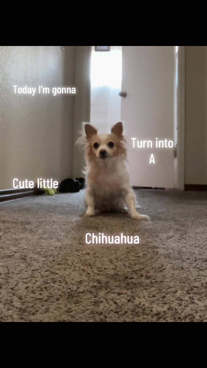 @๐๐๐ถ๐๐๐พ