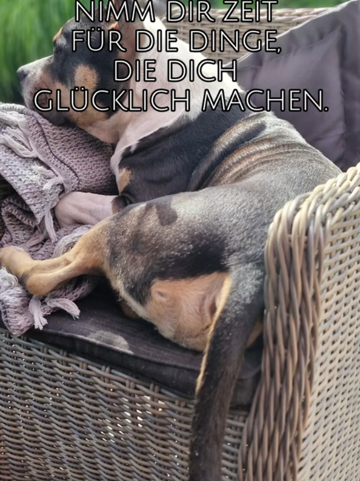 @Otto und Erwin