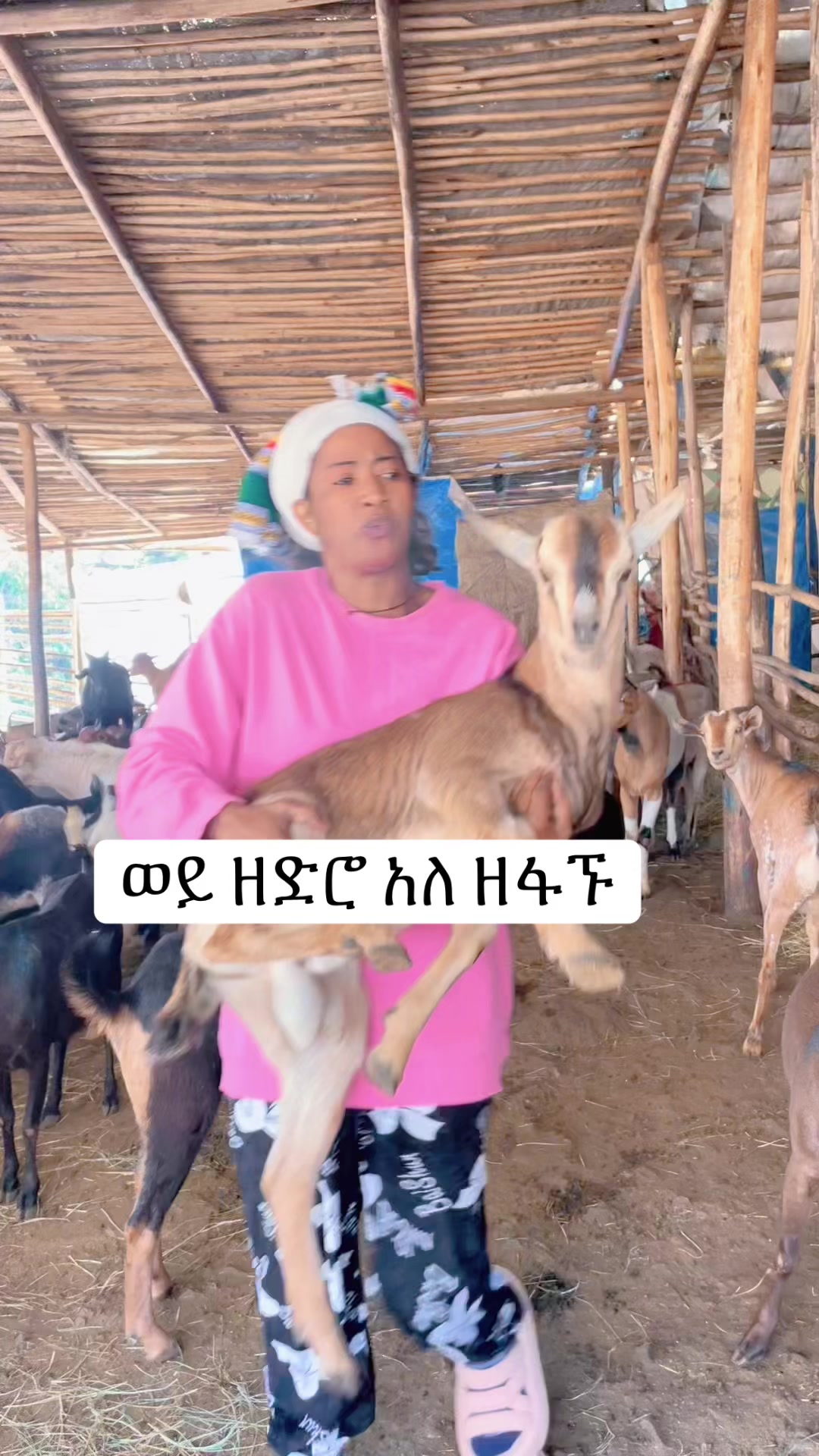@แซแแ (zizi)๐ค