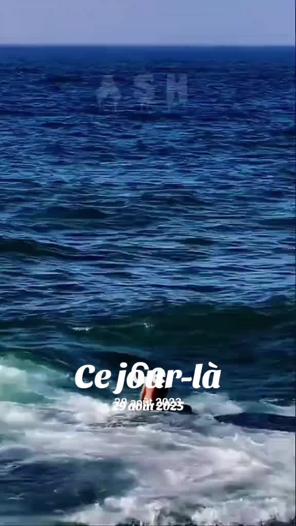 @Lų Ćąş