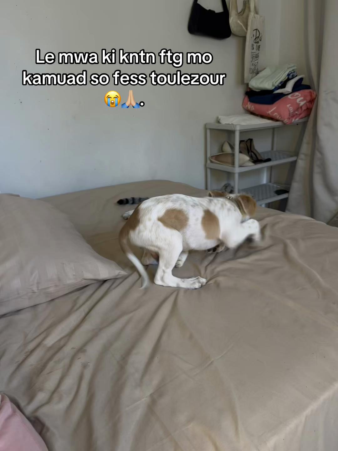 @𝔖𝔦𝔫𝔬𝔦 𝔏𝔬𝔠𝔞𝔩🪭🇲🇺.