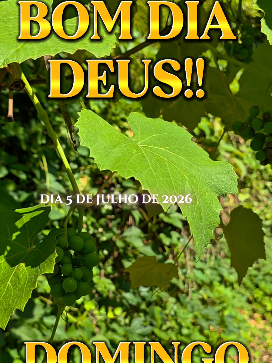 @PromessadeDeus91