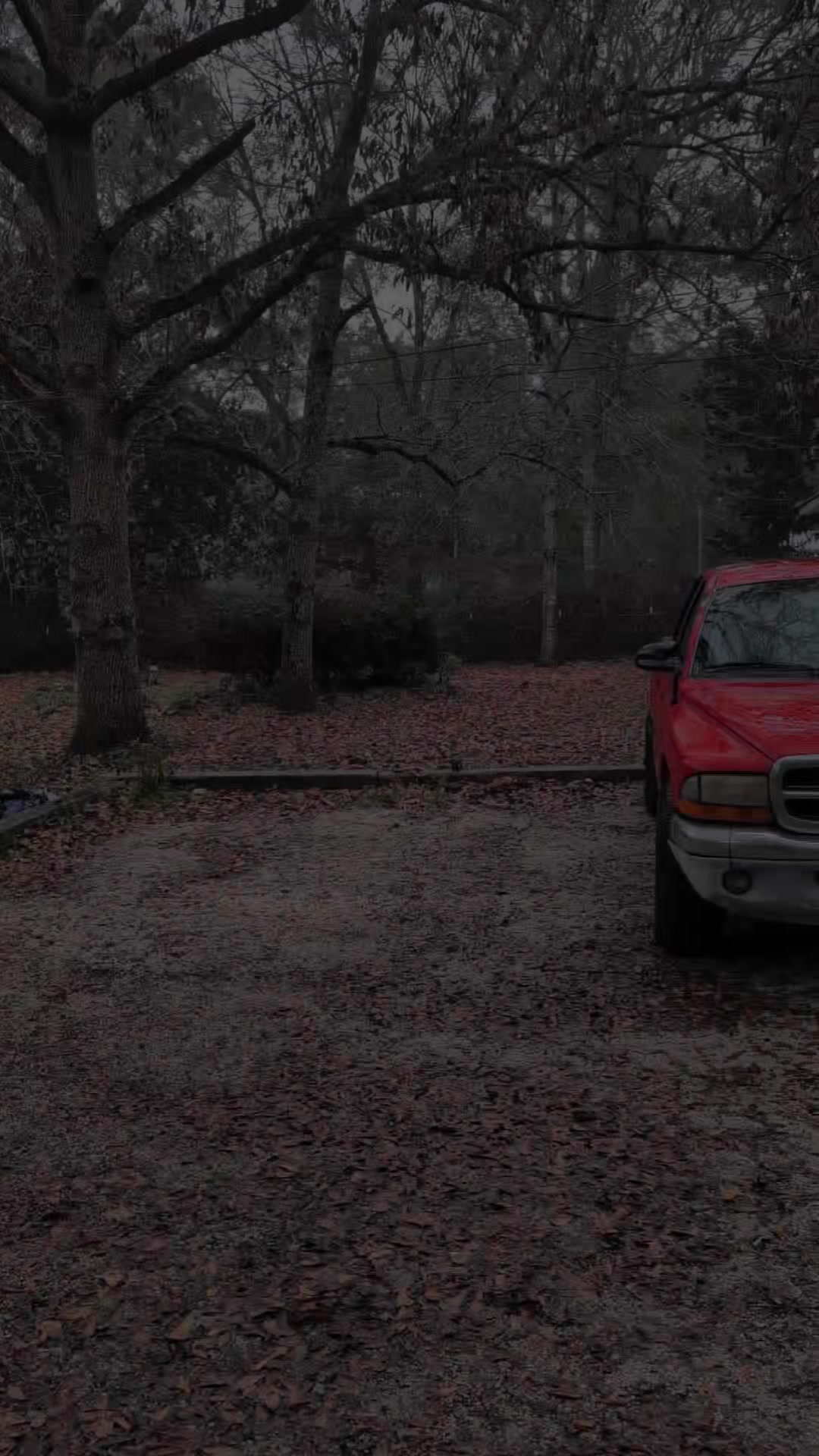 @wiredsquirrel13
