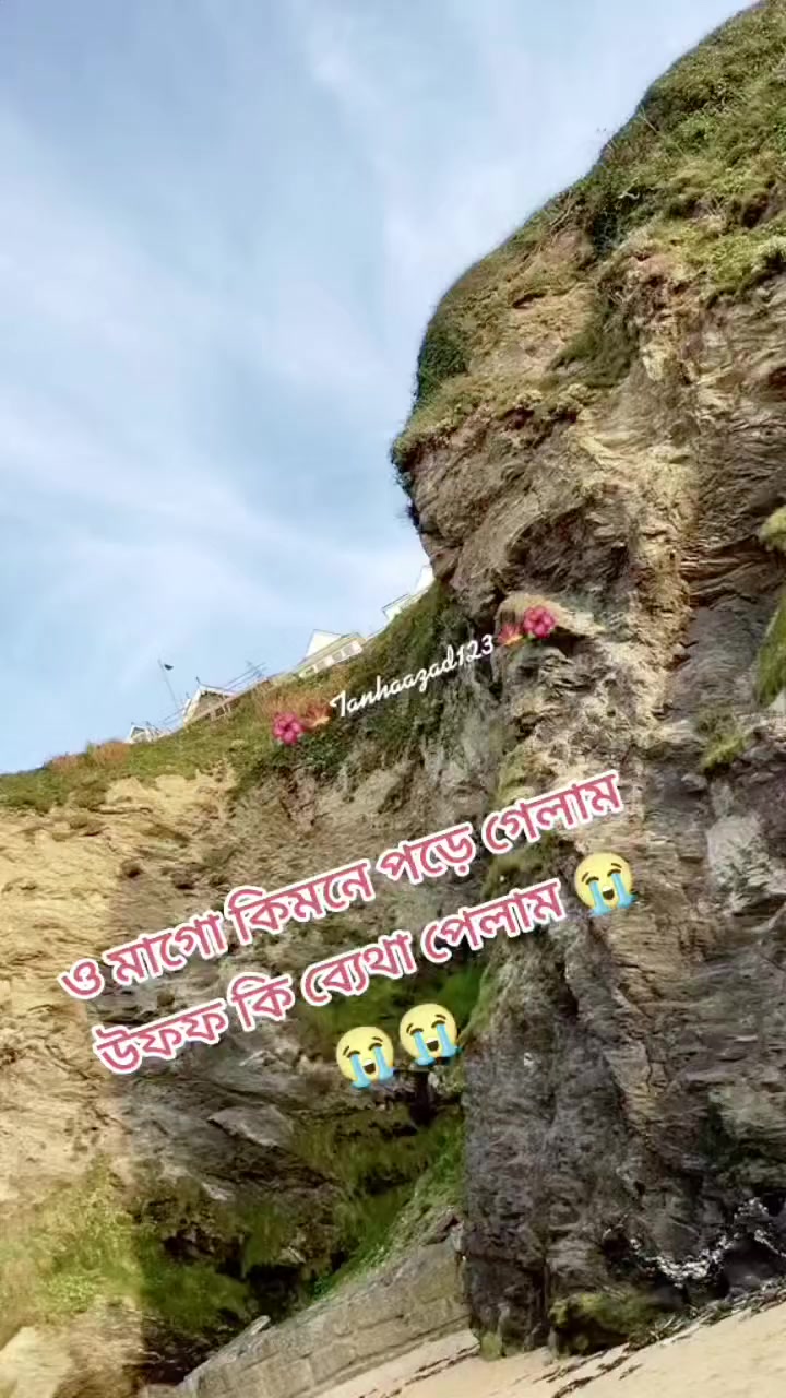 @luifa