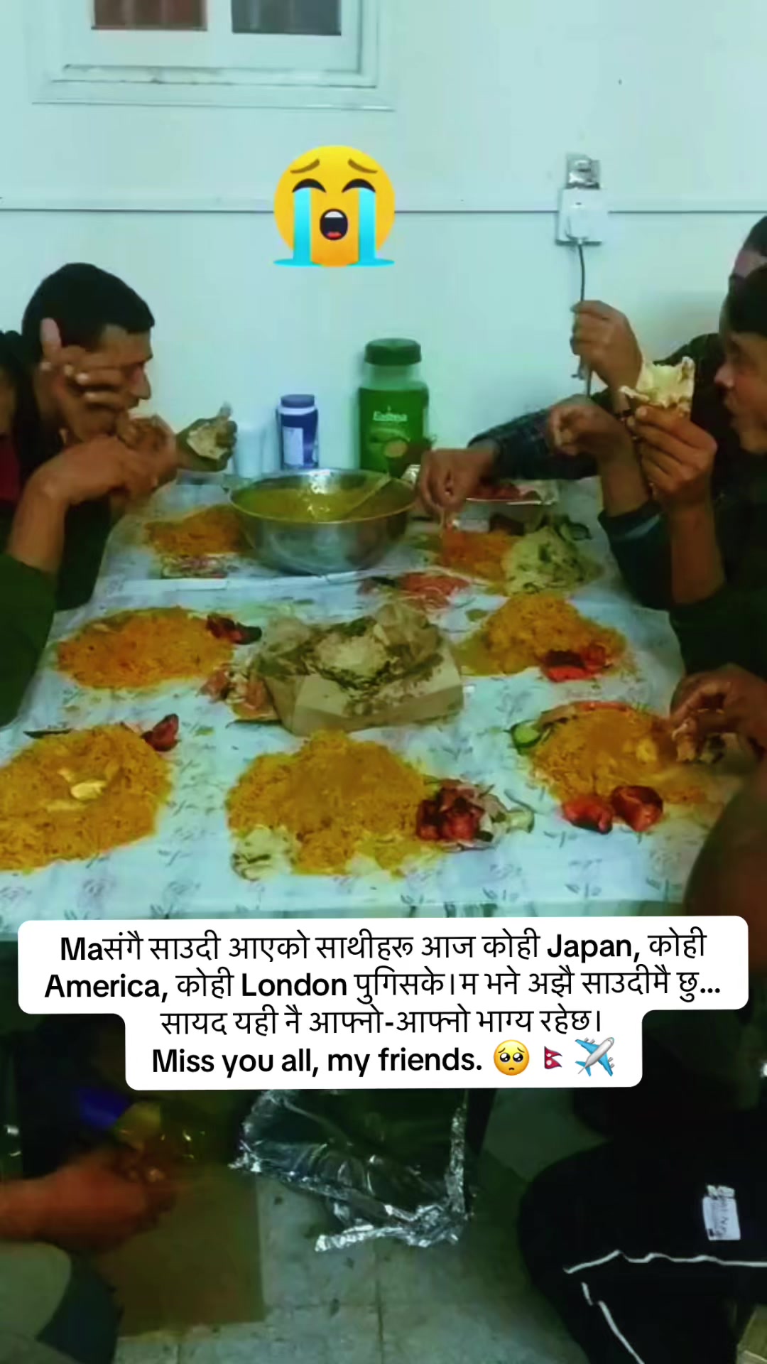 @chefms7