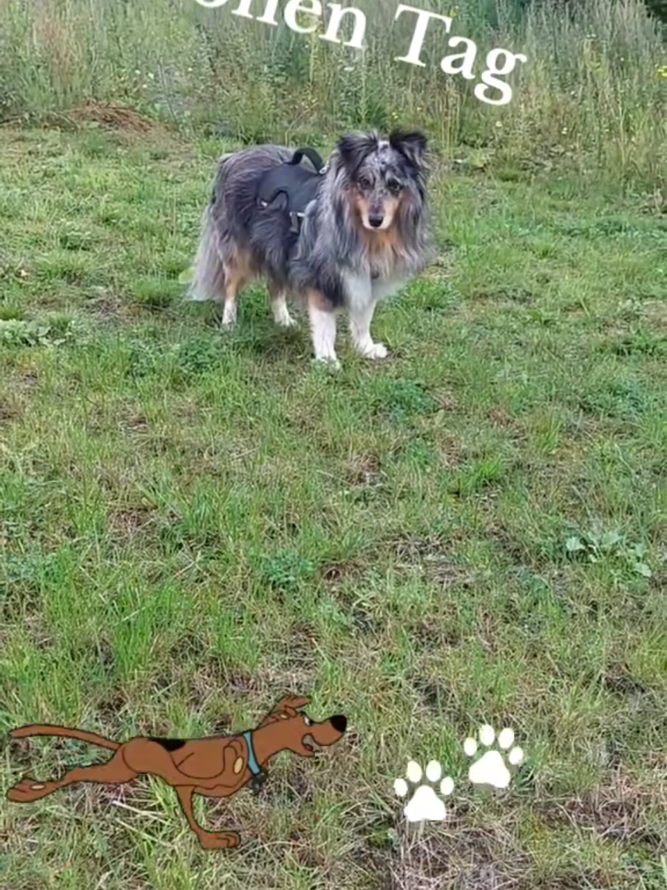 @Perlenglitzerwelt