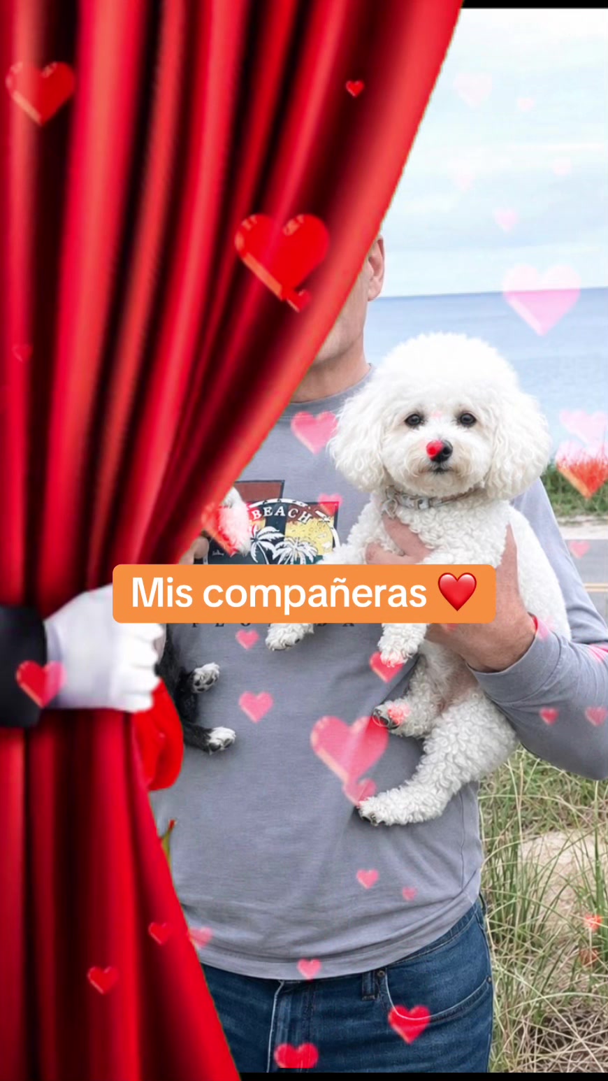 @profetrivella