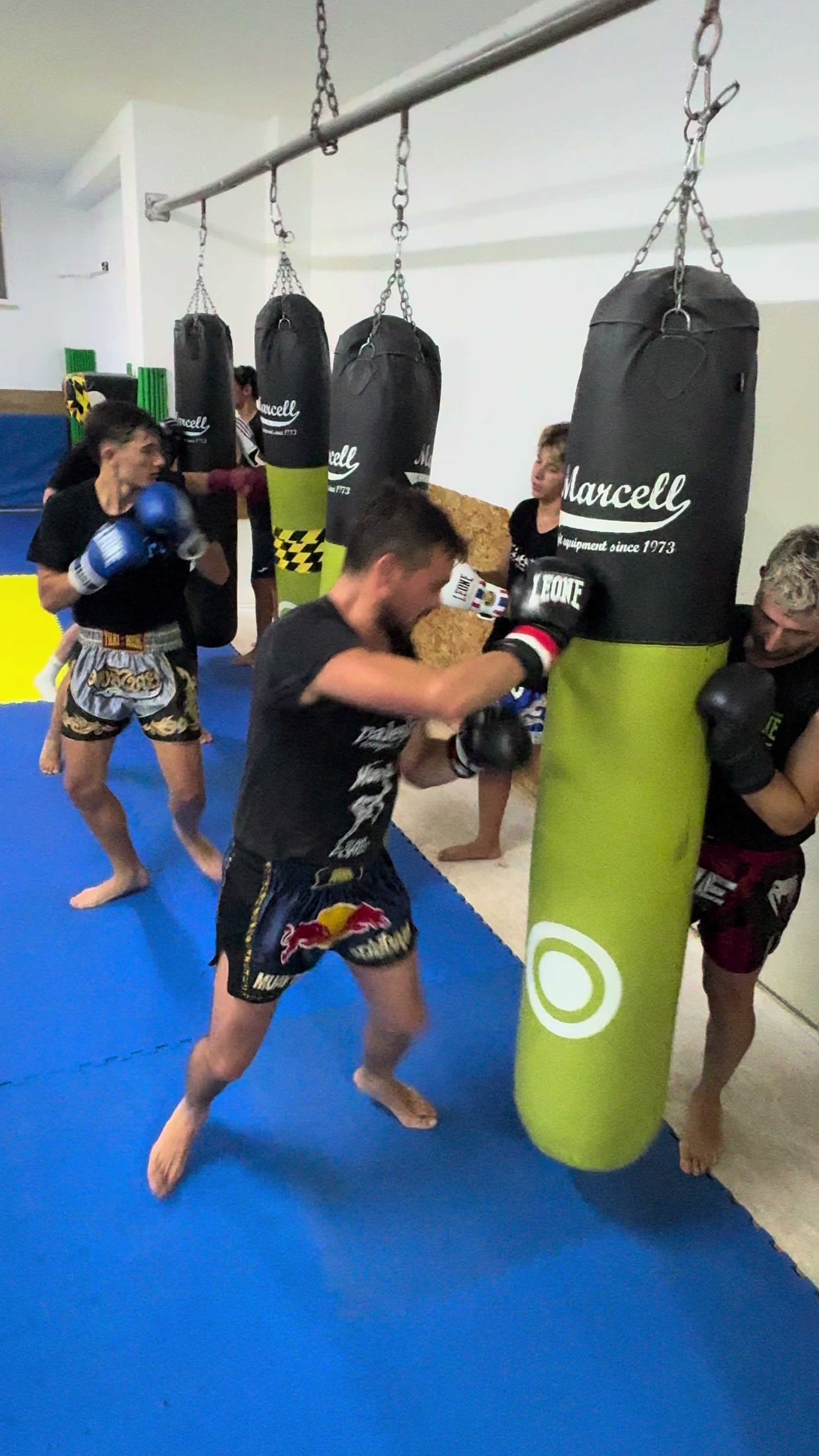 @Gianfranco Ponte Trainer