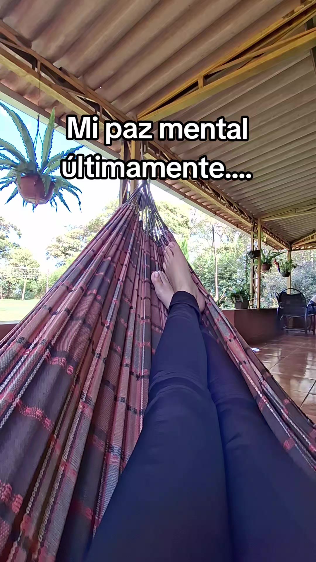 @juanabenitez163