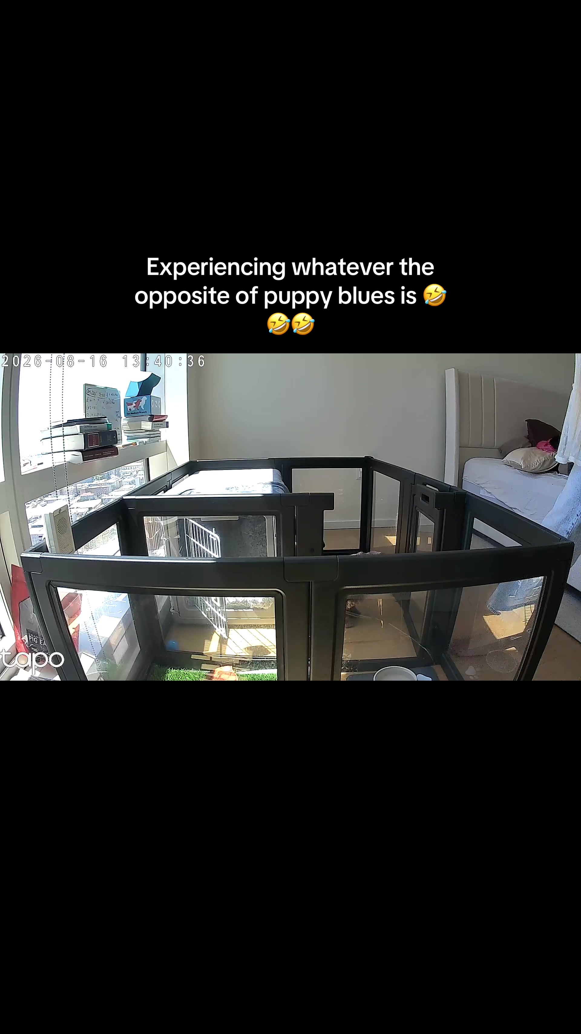 @Amber