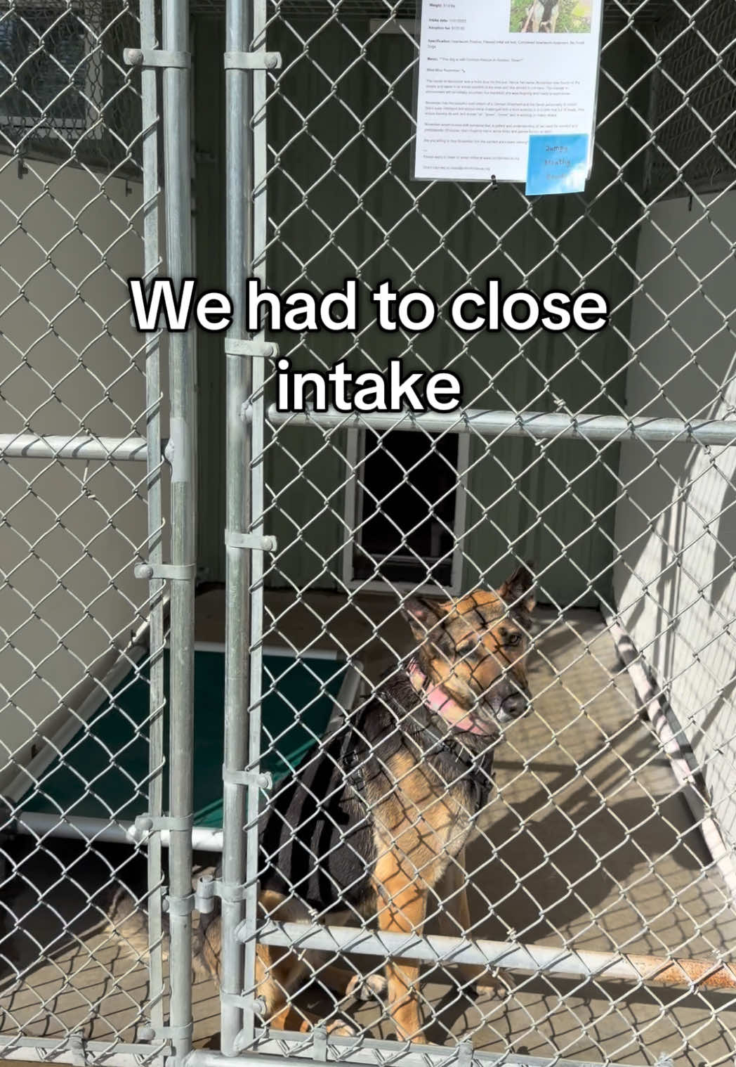 @Corridor Rescue Inc.