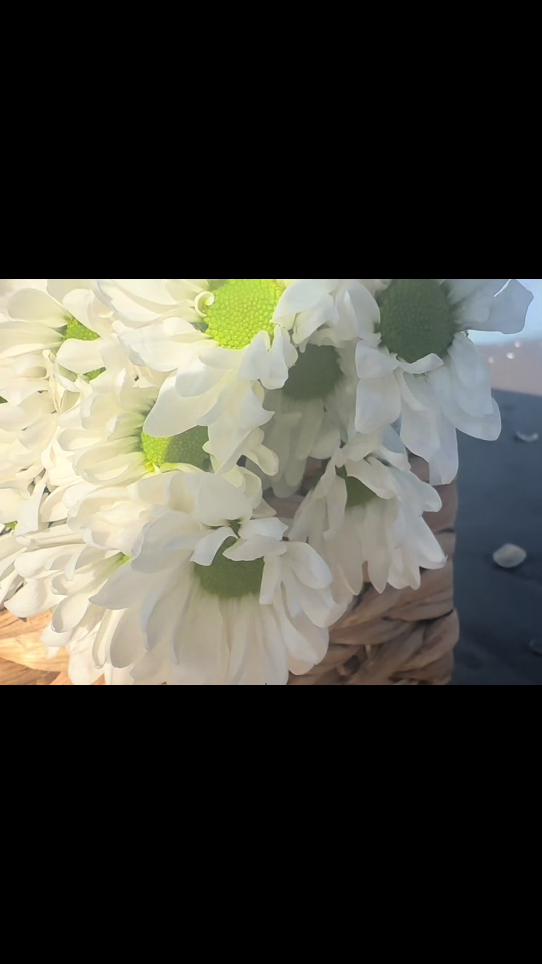 @๐ข๐ถ๐๐ถ ๐ฅ๐ถ๐ ๐๐๐๐๐๐๐