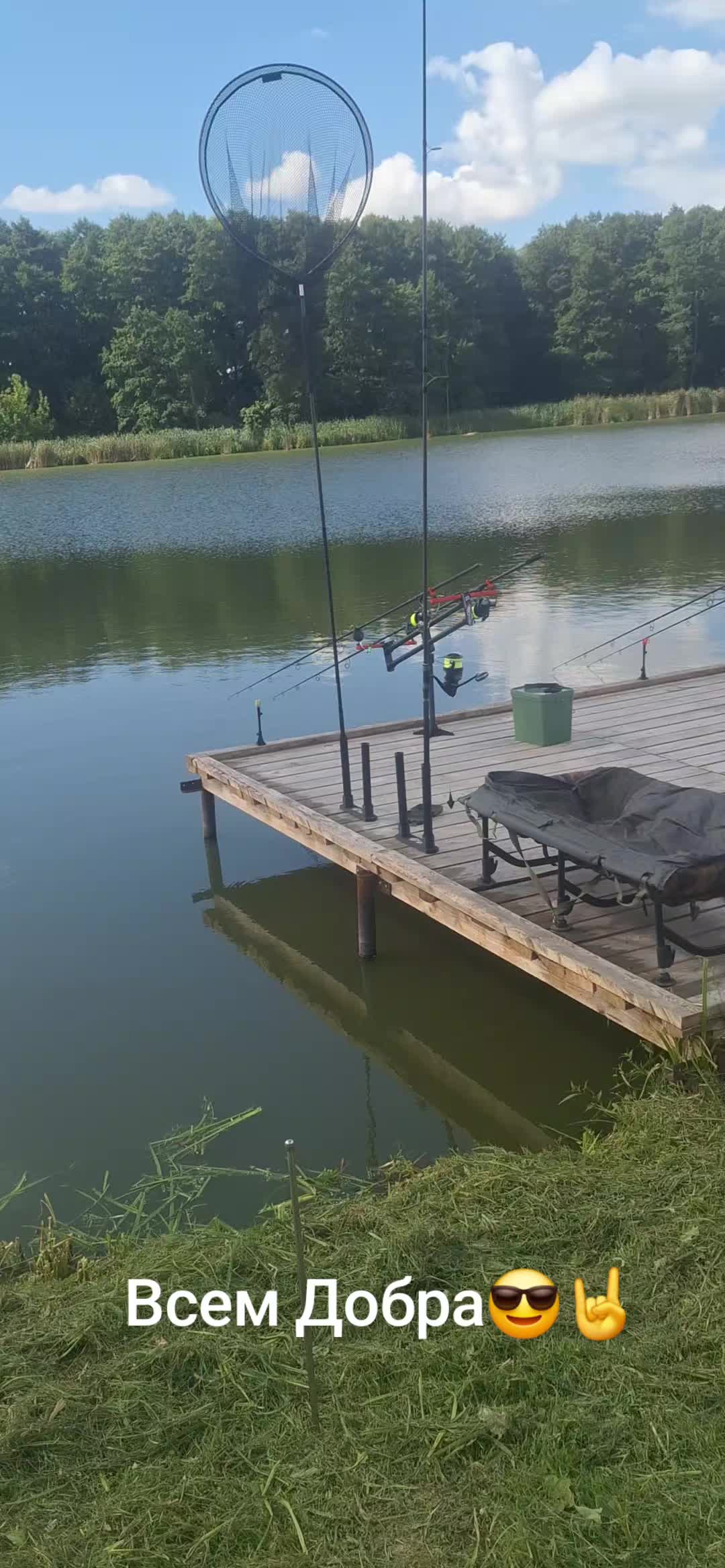 @Дикий карп рулит💪😎💪