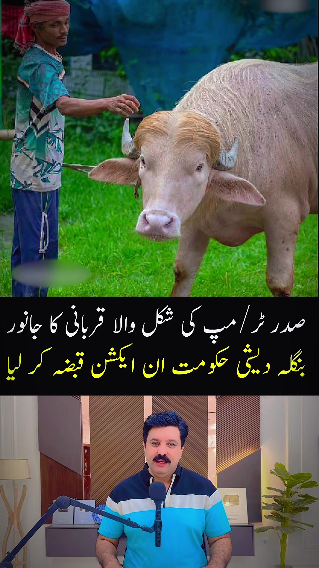 @Mux9 Tv