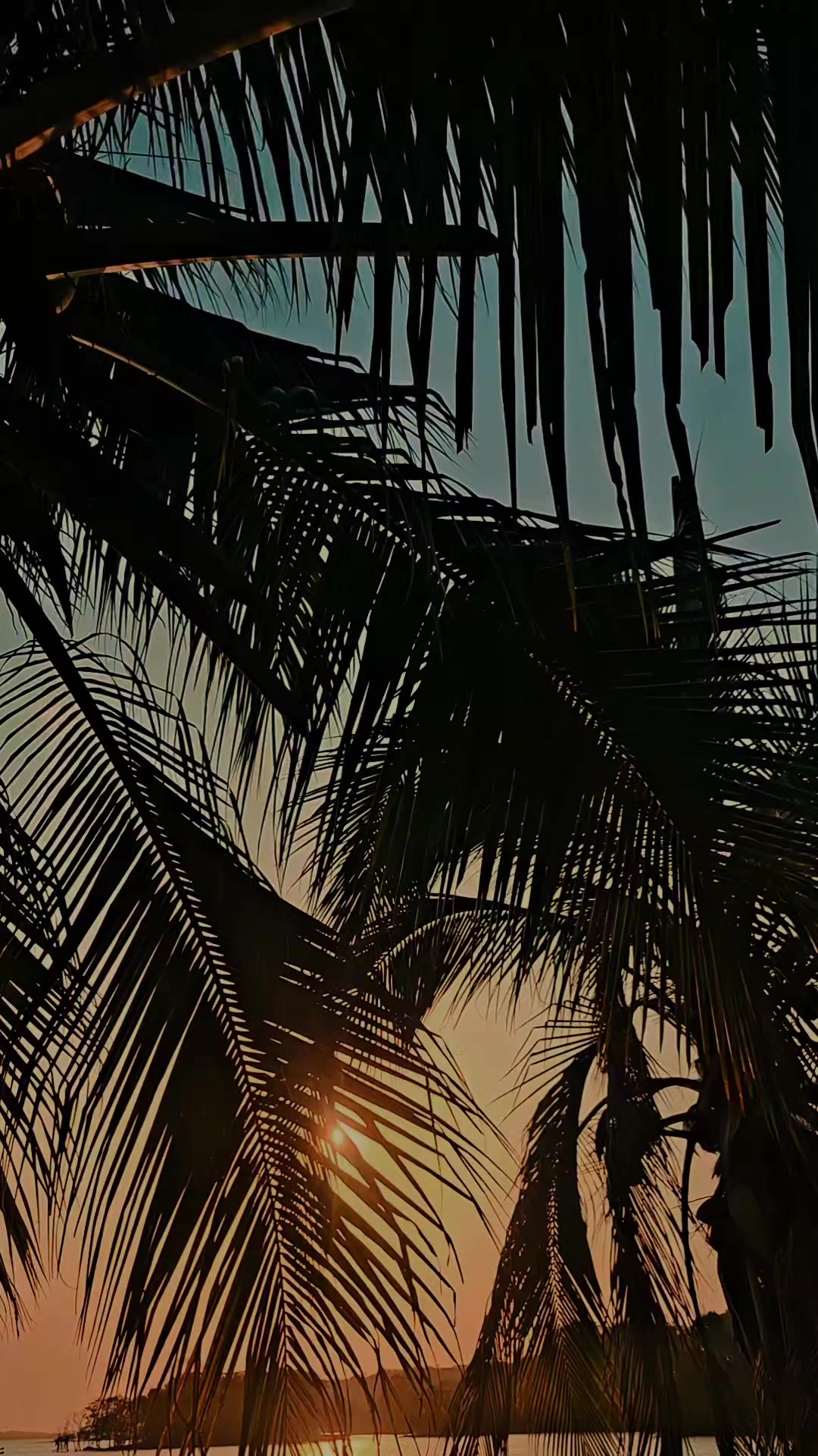 @PausaDorada🌅