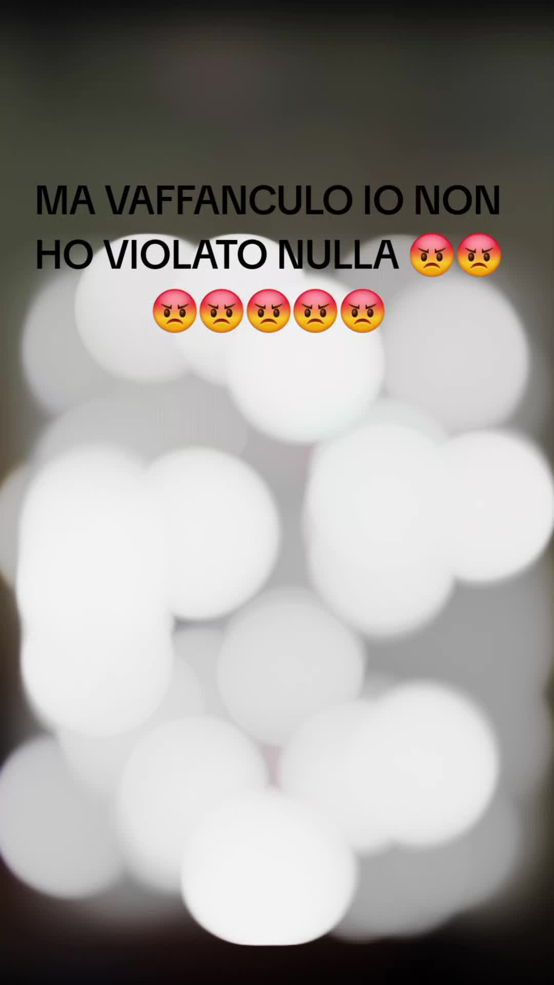 @✨️LEONESSA5️⃣0️⃣3️⃣6️⃣DI NIK✨️