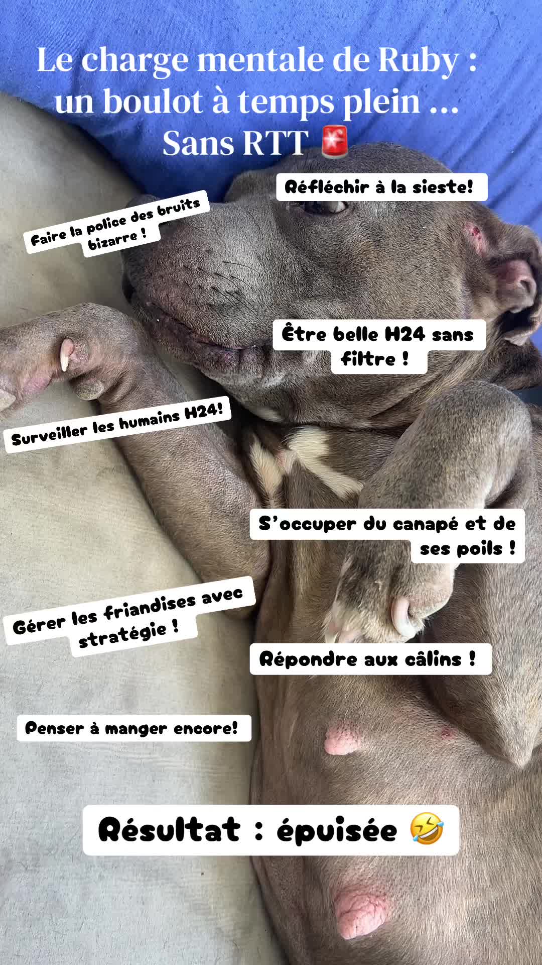 @rubylove_staffie94