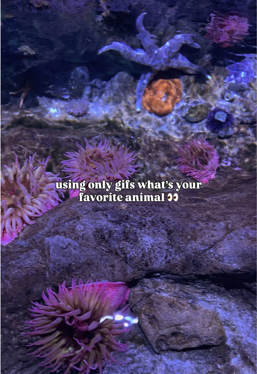 @The Florida Aquarium